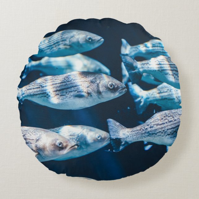 COJÍN REDONDO OJOS DE PESCADO (Anverso)