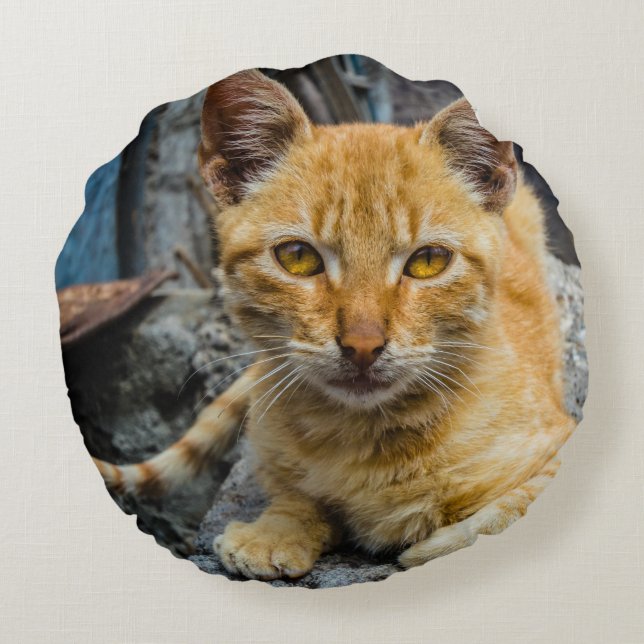 Cojín Redondo Ojos dorados (Reverso)