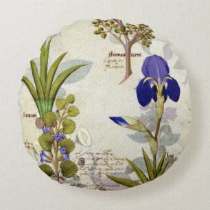 Cojín Redondo Orquídea y Fumitory o Hedera y iris del corazón