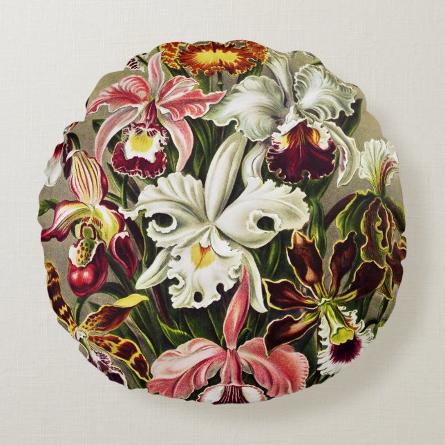 Cojín Redondo Orquídeas Orchideae Denusblumen Ernst Haeckel (Anverso)
