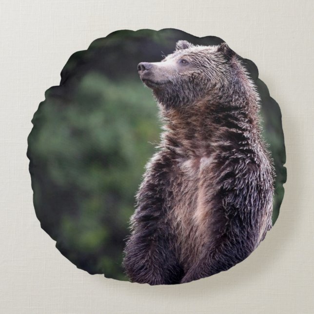 Cojín Redondo Oso grizzly derecho (Anverso)