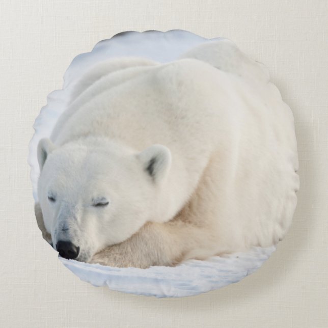 Cojín Redondo Oso polar en invierno (Anverso)
