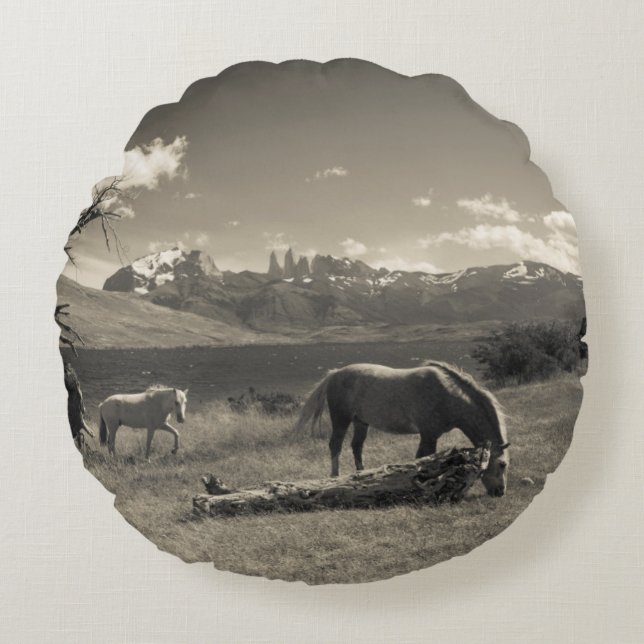 Cojín Redondo Paisaje con caballos (Anverso)