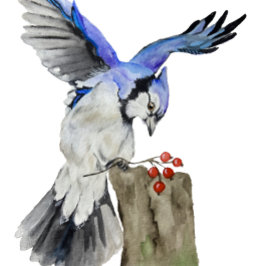 Cojín Redondo Pajarera azul acuarela