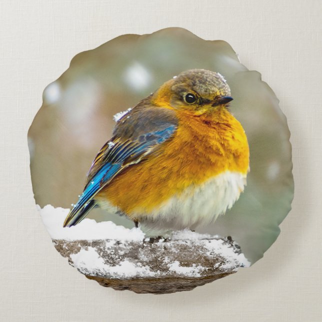 Cojín Redondo Pájaro azul oriental en nieve - Fotografía origina (Reverso)