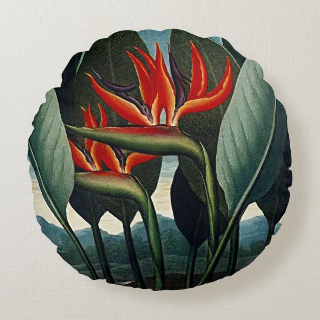 Cojín Redondo Pájaro Botánico De Cushiones Paraísos (Anverso)