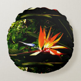 Cojín Redondo Pájaro Colorido Del Paraíso Flor