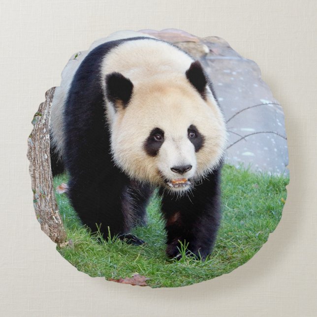 Cojín Redondo Panda gigante de la foto de almohada. (Anverso)