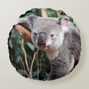 Cojín Redondo Parque de Vida Silvestre Featherdale, Osos Koala