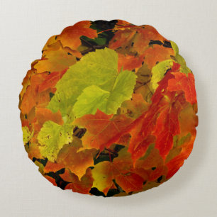 Cojín Redondo Parque Estatal Itasca, Colores Caídos