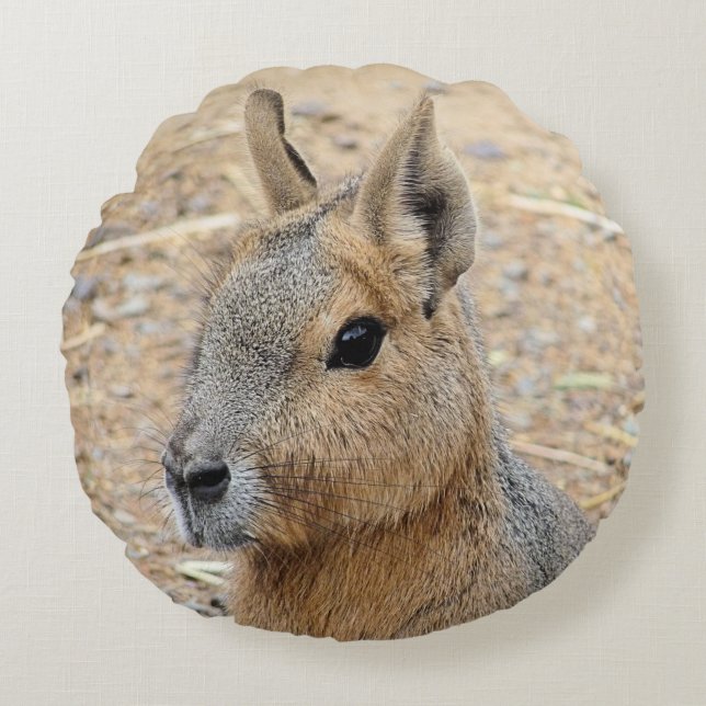 COJÍN REDONDO PATAGONIAN MARA (Anverso)