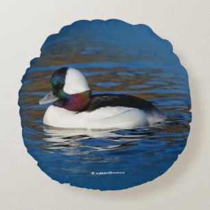 Cojín Redondo Pato Bufflehead Apuesto en el Estanque de Invierno