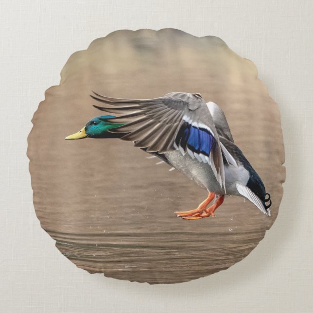 Cojín Redondo Pato Mallard en vuelo (Anverso)