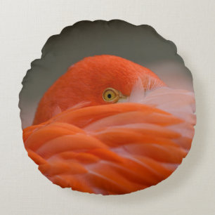 Cojín Redondo Peeking Flamingo