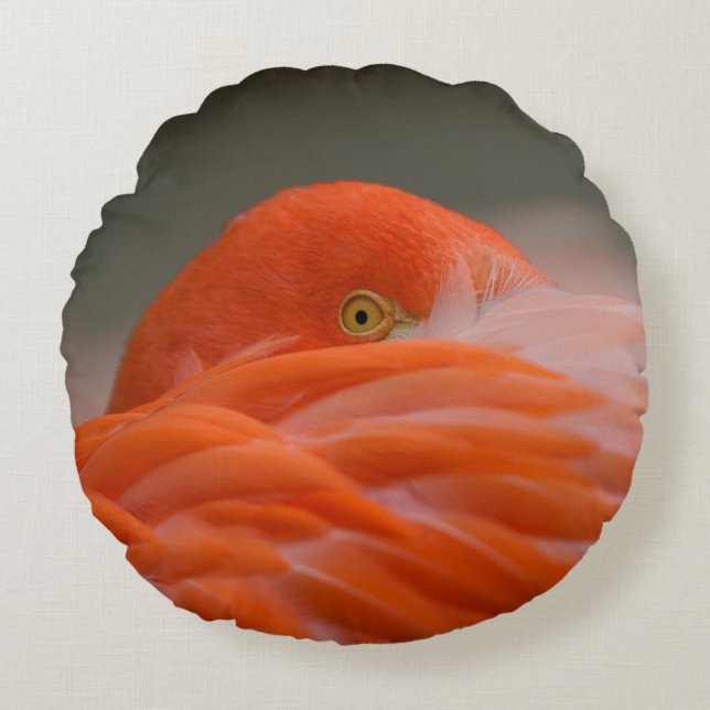Cojín Redondo Peeking Flamingo (Anverso)