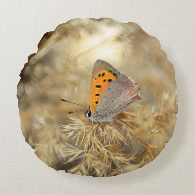 Cojín Redondo Pequeña mariposa de fuego (Anverso)