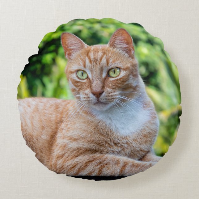 Cojín Redondo Pequeño gatito dulce (Anverso)
