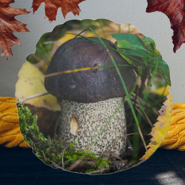 Cojín Redondo Pequeño hongo (Subido por el creador)