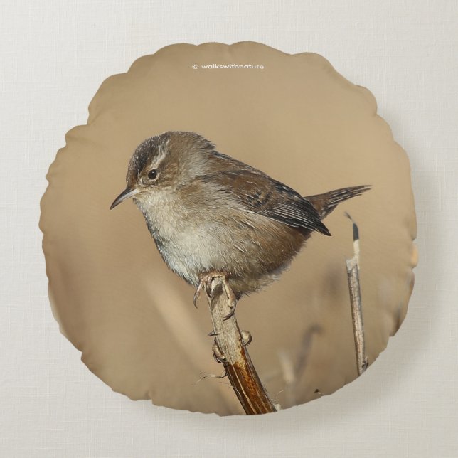 Cojín Redondo Perfil de una bella Wren de Marsh (Anverso)