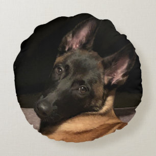 Cojín Redondo Perro belga malinois