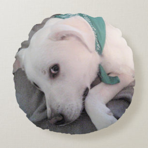 Cojín Redondo Perro blanco lindo que lleva bufanda verde trébol 