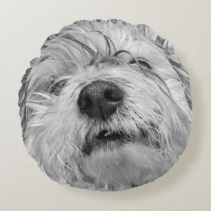 Cojín Redondo Perro Coton de Tulear