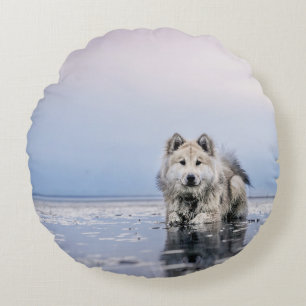 COJÍN REDONDO PERRO EN CUERPO TRANQUILO DE AGUA