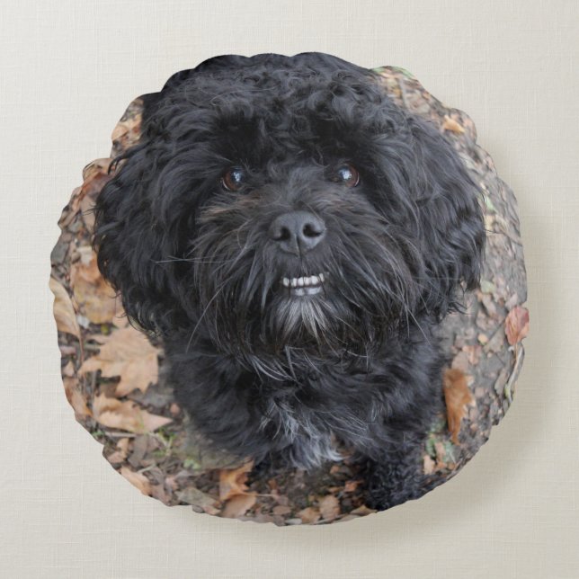 Cojín Redondo Perro negro lindo (Anverso)