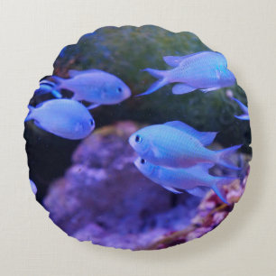 Cojín Redondo Pescado azul tropical