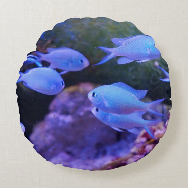 Cojín Redondo Pescado azul tropical (Anverso)