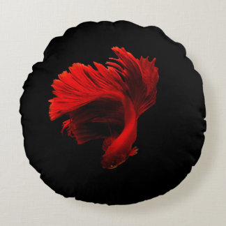 Cojín Redondo Pescado rojo ruby de combate siamés