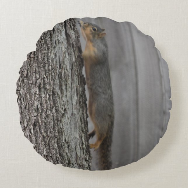 Cojín Redondo Pilar de ardilla (Anverso)