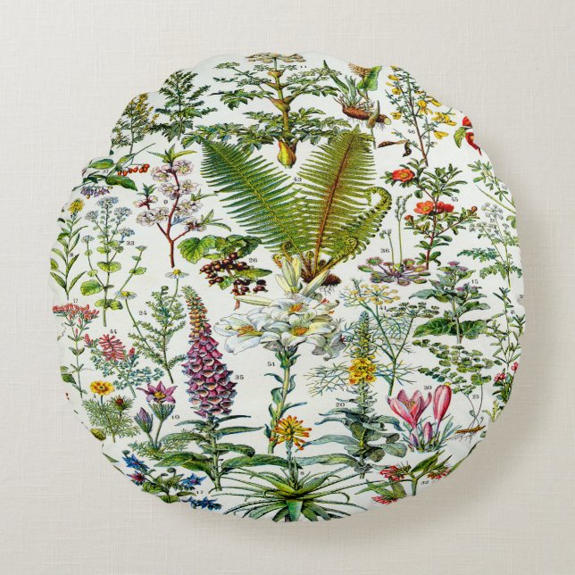 Cojín Redondo Pilar de énfasis en plantas medicinales (Anverso)