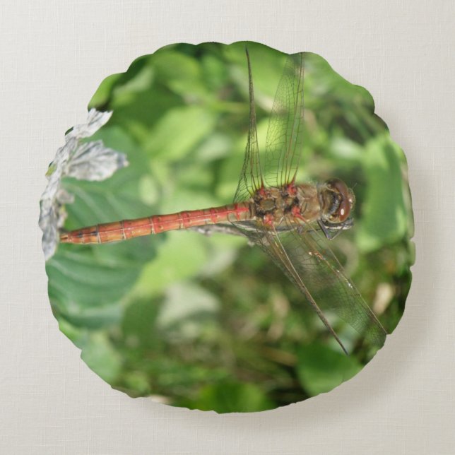 Cojín Redondo Pilar de la libélula negra común (Anverso)