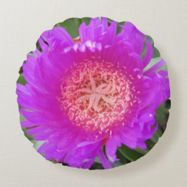 Cojín Redondo Pilar redondeado de la cara del cerdo