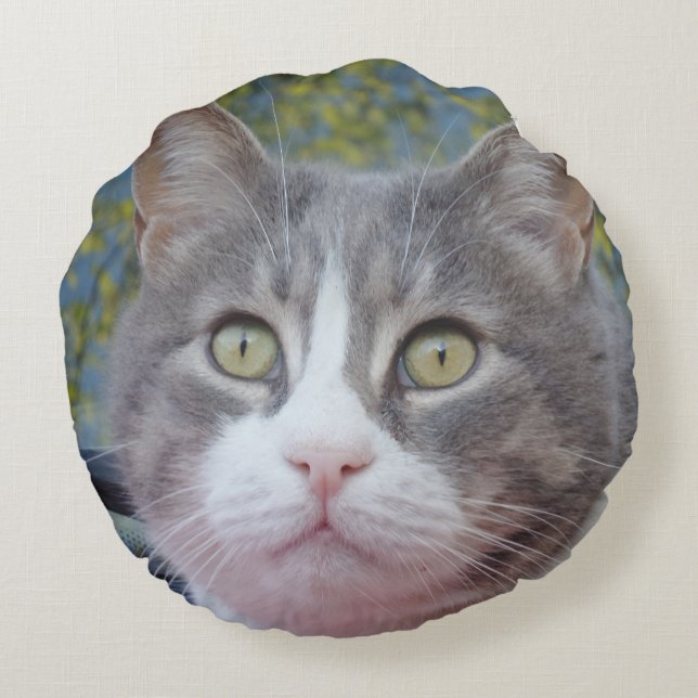 Cojín Redondo Pilar redondo de gato blanco gris (Reverso)