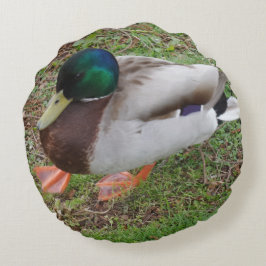 Cojín Redondo Pilar redondo de pato de cabeza verde