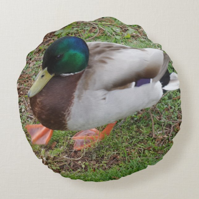 Cojín Redondo Pilar redondo de pato de cabeza verde (Reverso)