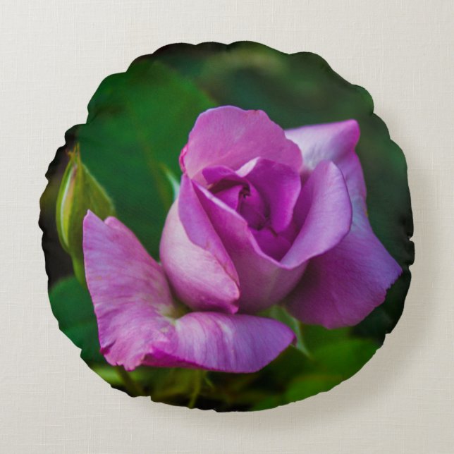 Cojín Redondo Pilar redondo Rosa Mauve (Anverso)