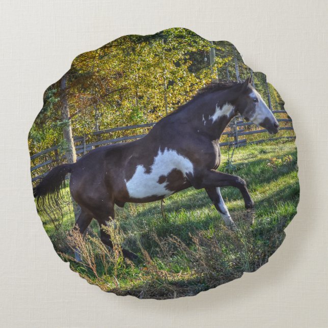 Cojín Redondo Pinto pintar Stallion en un rancho de caballos (Reverso)