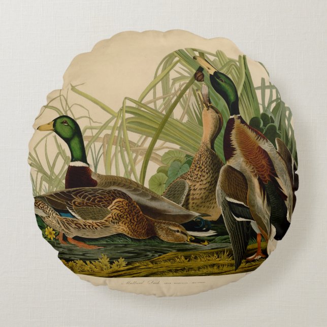 Cojín Redondo Pintura de pájaro de Mallard Duck Audubon (Anverso)