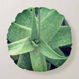 Cojín Redondo Planta de Aloe Vera