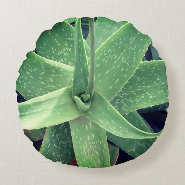 Cojín Redondo Planta de Aloe Vera (Anverso)