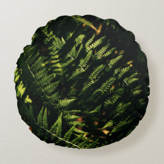 COJÍN REDONDO PLANTA VERDE FERNA EN FOTOGRAFÍA CERRADA