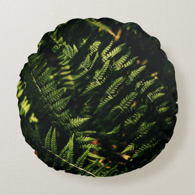 COJÍN REDONDO PLANTA VERDE FERNA EN FOTOGRAFÍA CERRADA (Anverso)