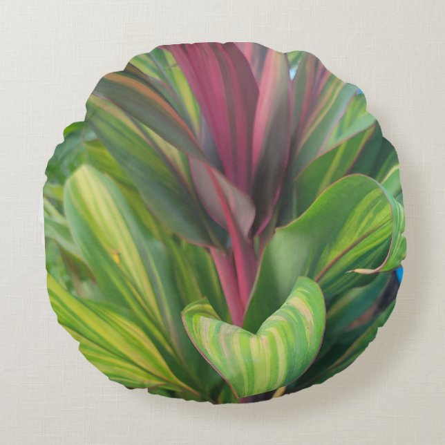 COJÍN REDONDO PLANTAR MÁS (Anverso)