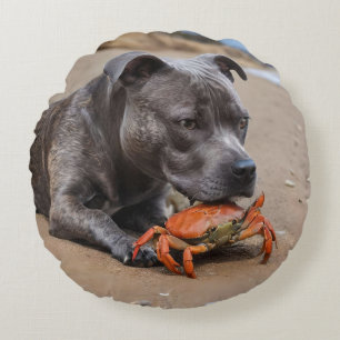 Cojín Redondo "Playside Pals: un Staffy y su compañero de cangre