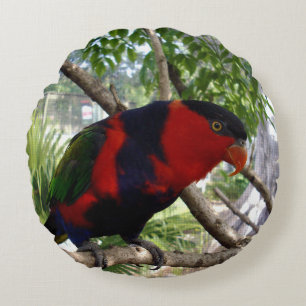 Cojín Redondo Plumas arcoiris: Bonito Australian Lorikeet,
