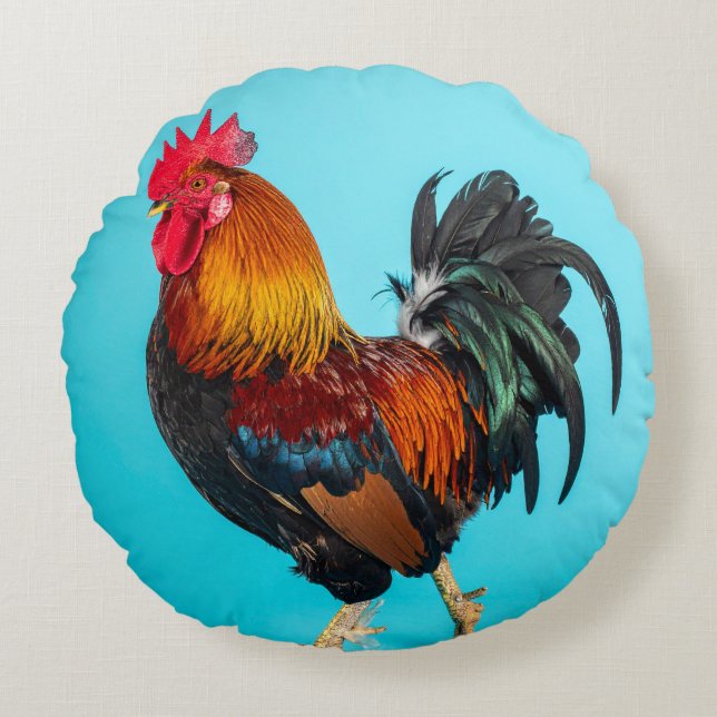 Cojín Redondo pollo (Anverso)