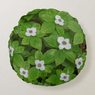Cojín Redondo Primer plano de bunchberry con flores blancas